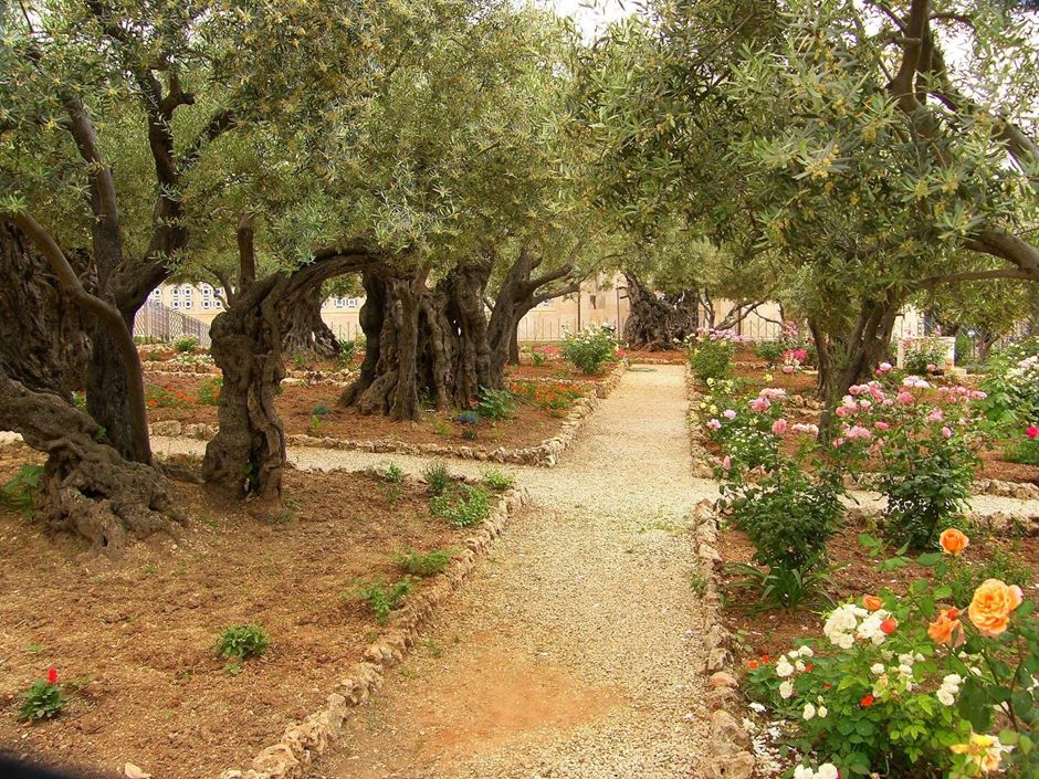 Picture of The Heart of the Story Israel & Jordan Israel   Hosted by Wanda Ehalt